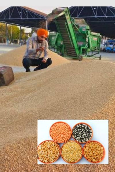 Dhawane Engineering Factory